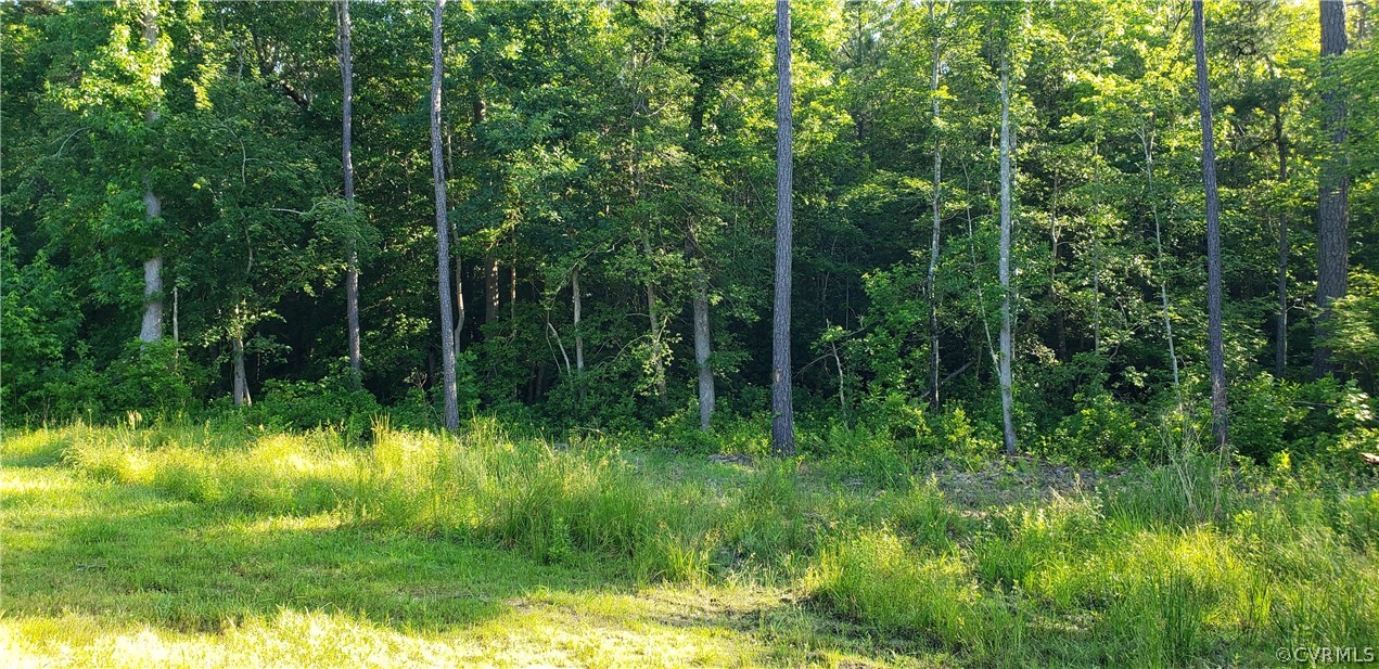 535 Wyatts Mill Road Jarratt, VA 23867 - Photo 27 of 27 Gallery Image 27