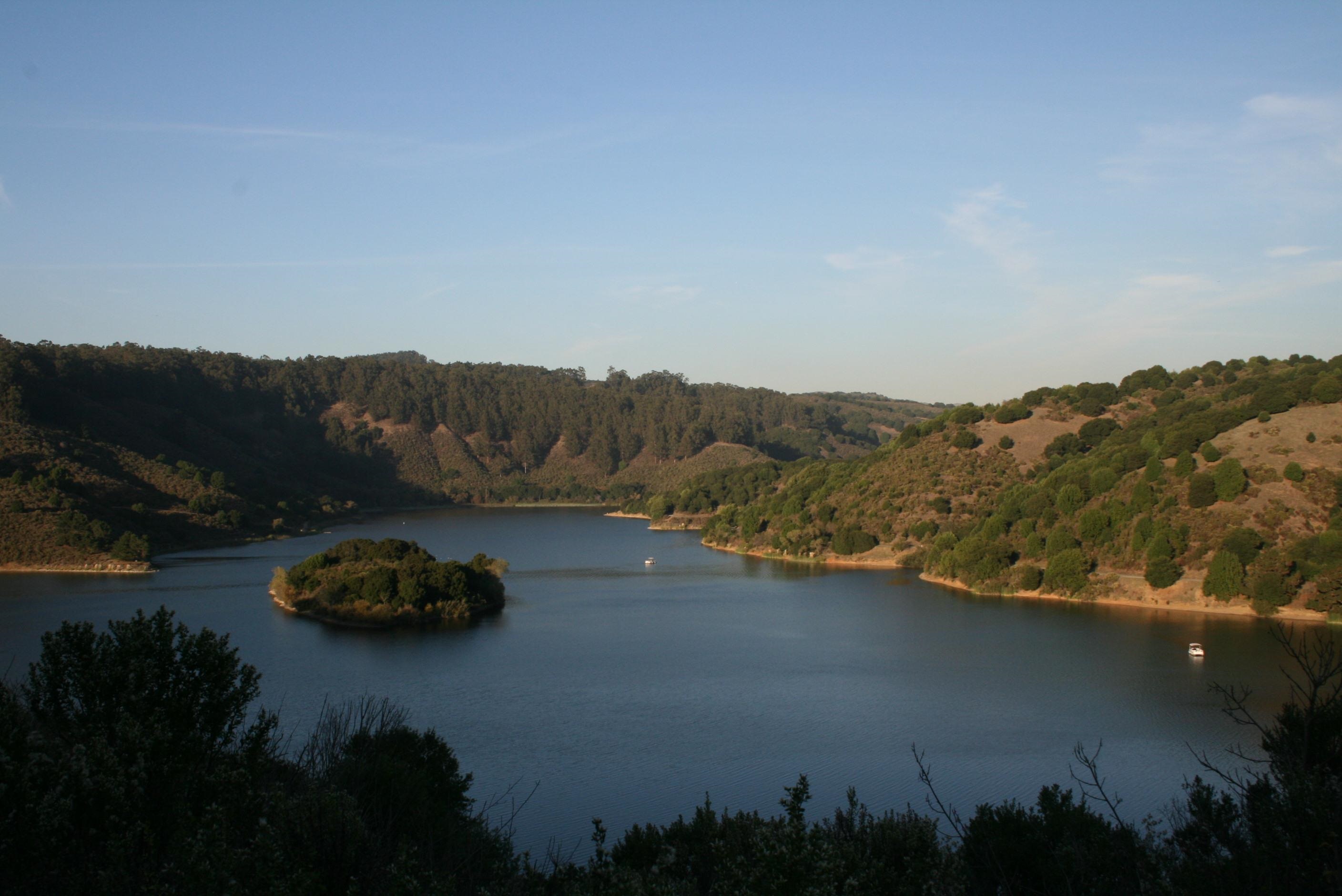 3864 Wilson Avenue Castro Valley, CA 94546 - Photo 49 of 55