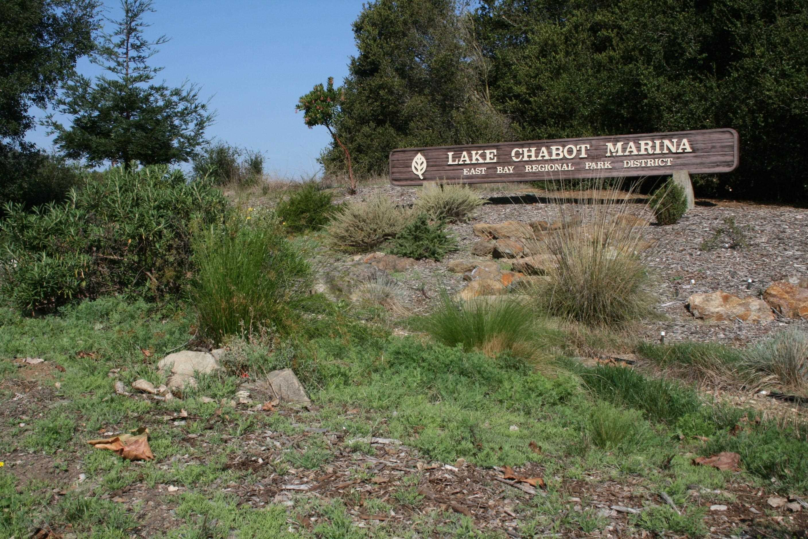 3864 Wilson Avenue Castro Valley, CA 94546 - Photo 50 of 55