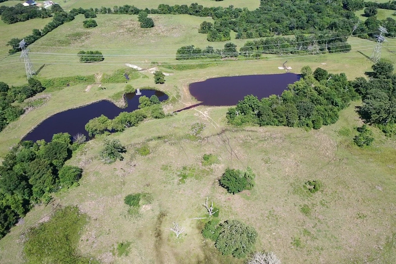 4442 Poteet Road Normangee, TX 77871 - Photo 47 of 49
