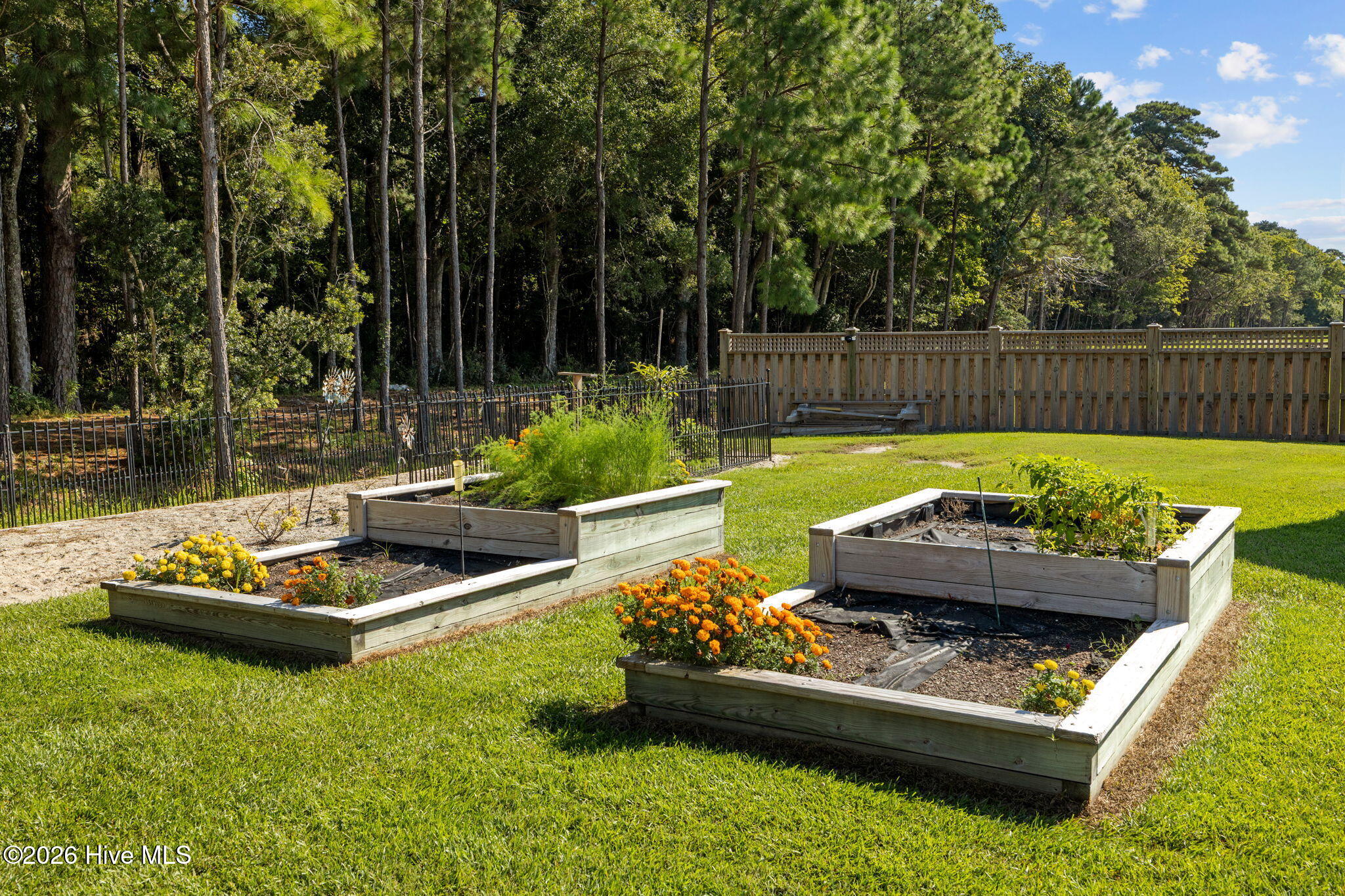 109 Ridgeline Drive Beaufort, NC 28516 - Photo 46 of 65 Custom built raised garden beds.