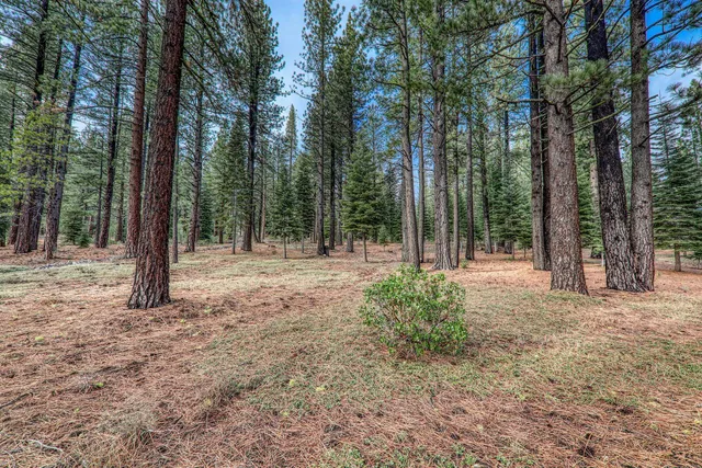 $425,000 | 12492 Granite Drive, Truckee, CA 96161