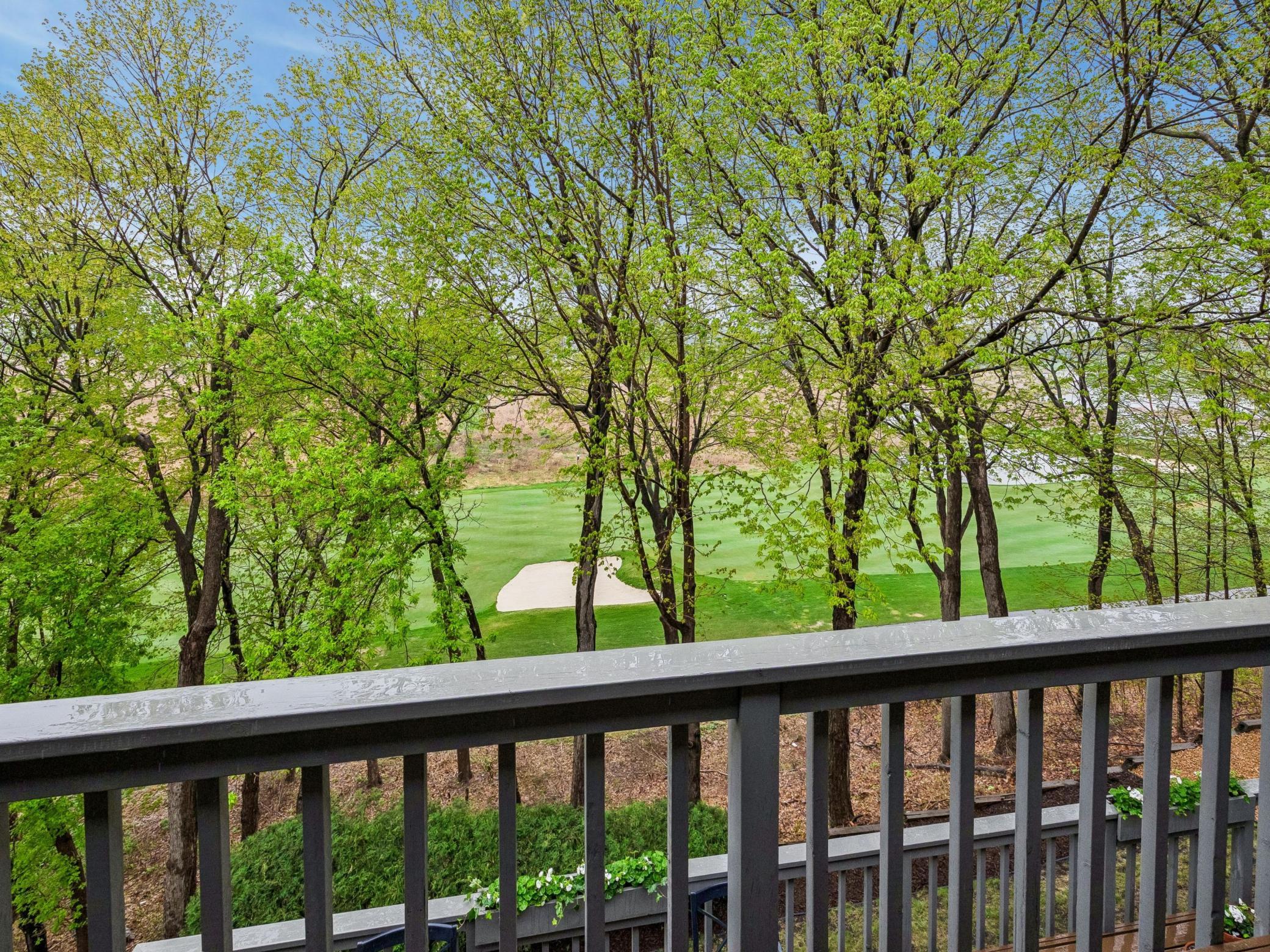 11202 Mt Curve Road Eden Prairie, MN 55347 - Photo 51 of 61
