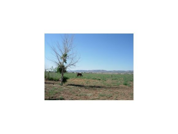 0 West Annie Road Paulden, AZ 86334 - Photo 1 of 6 Primary Photo