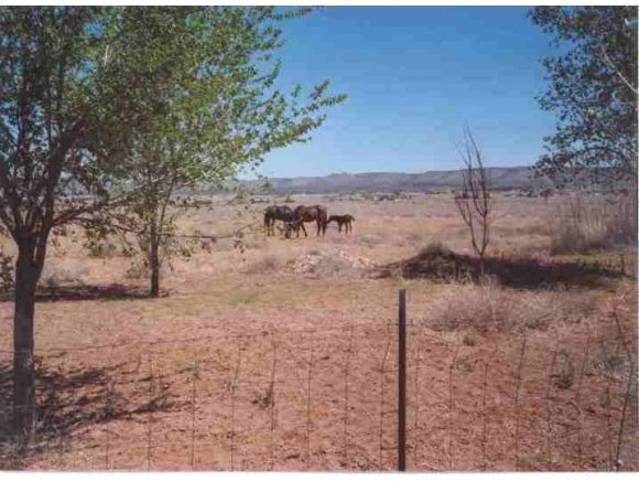 0 West Annie Road Paulden, AZ 86334 - Photo 6 of 6 Additional Photo