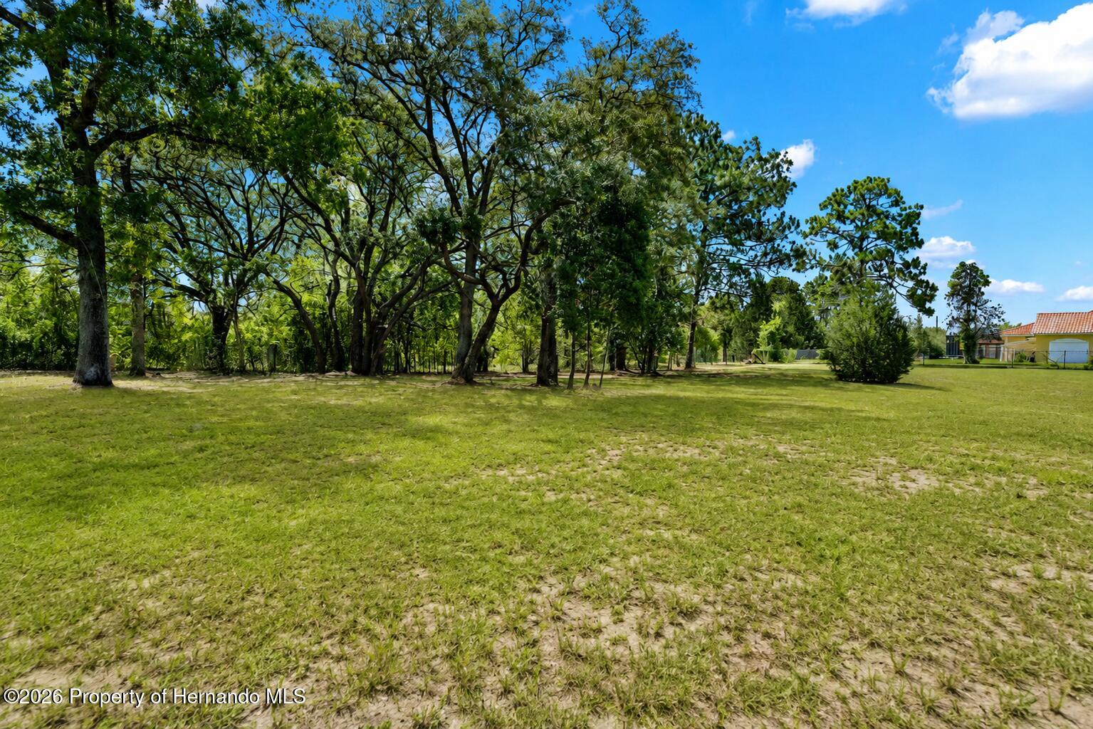 9086 Grove Road Spring Hill, FL 34613 - Photo 19 of 32