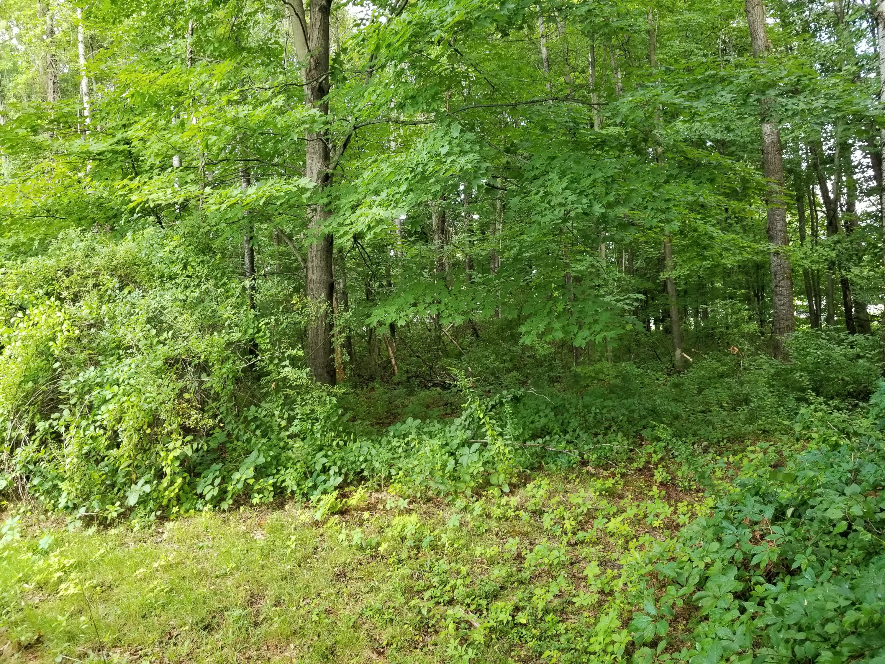 345 Stevens Mill Road Auburn, ME 04210 - Photo 13 of 37 20210818_093829