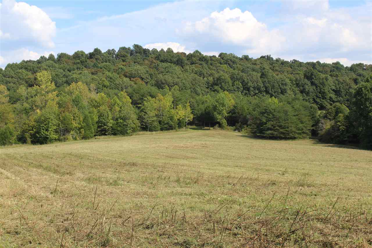 0 Hall Road Sharon Grove, KY 42280 - Photo 4 of 19 Gallery Image 4