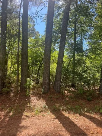 $15,000 | 158 Lynn Lake Road, Pollock, LA 71467