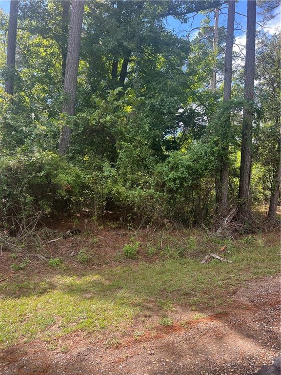 158 Lynn Lake Road Pollock, LA 71467 - Photo 2 of 6