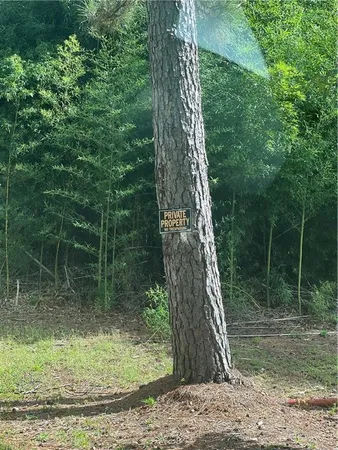 $15,000 | 158 Lynn Lake Road, Pollock, LA 71467