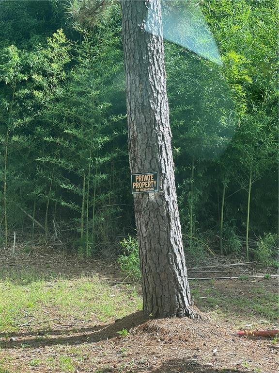 158 Lynn Lake Road Pollock, LA 71467 - Photo 3 of 6