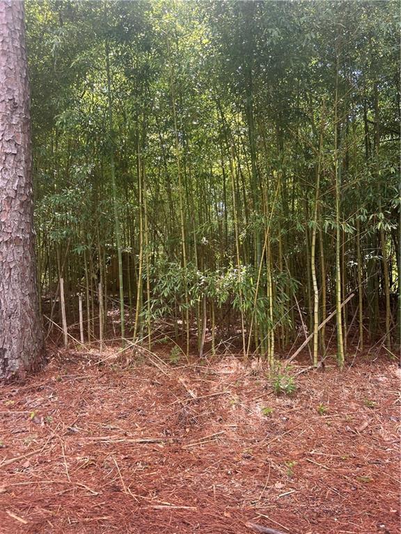 158 Lynn Lake Road Pollock, LA 71467 - Photo 4 of 6