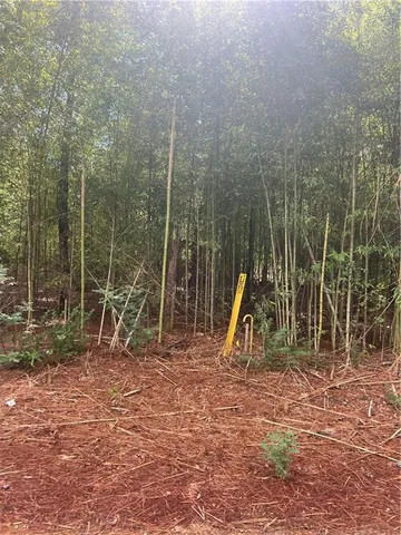 $20,000 | 158 Lynn Lake Road, Pollock, LA 71467