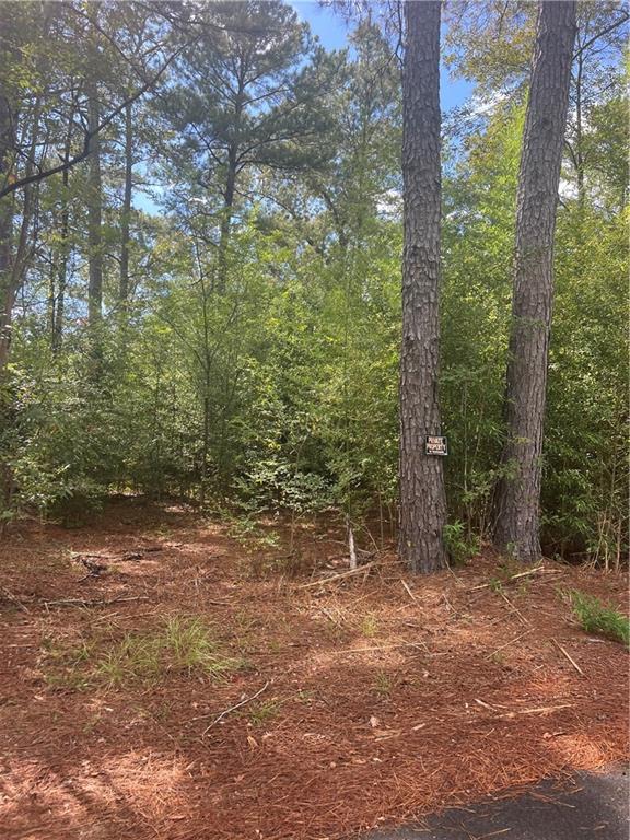 158 Lynn Lake Road Pollock, LA 71467 - Photo 6 of 6