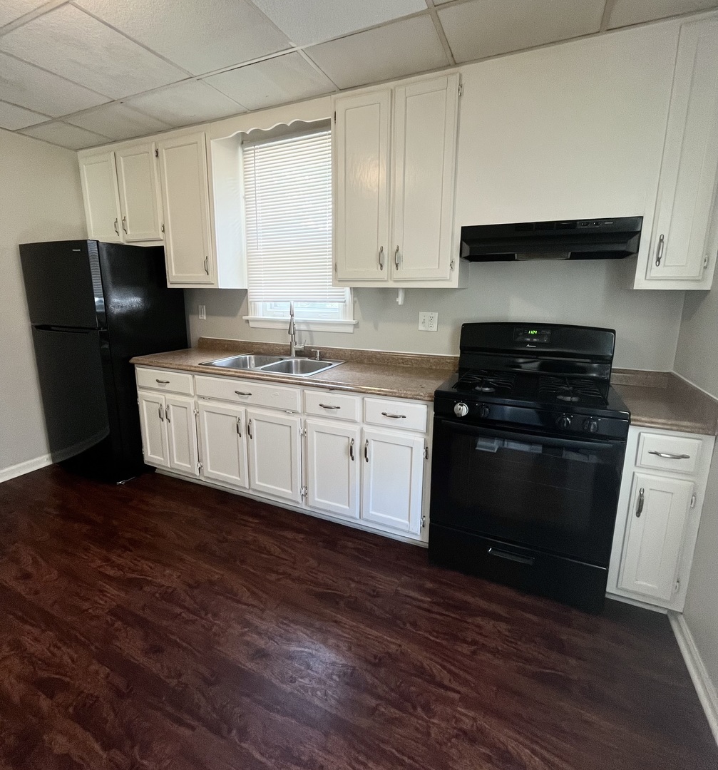 21142 Locust Street Matteson, IL 60443 - Photo 6 of 18 a kitchen with a sink and a stove