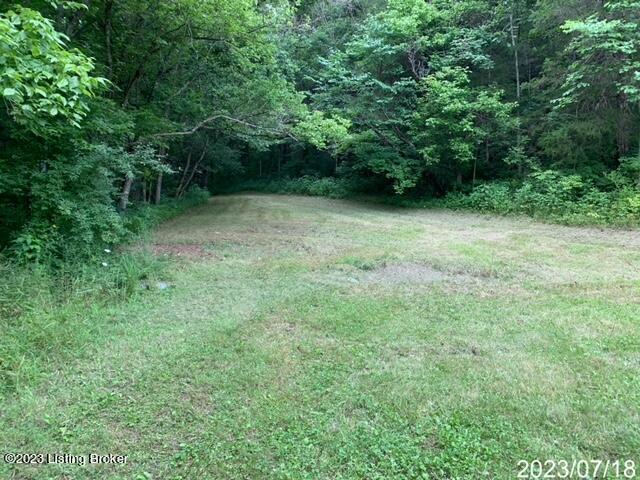 1851 Woodrow Wilson Road Carrollton, KY 41008 - Photo 17 of 18 IMG_8040