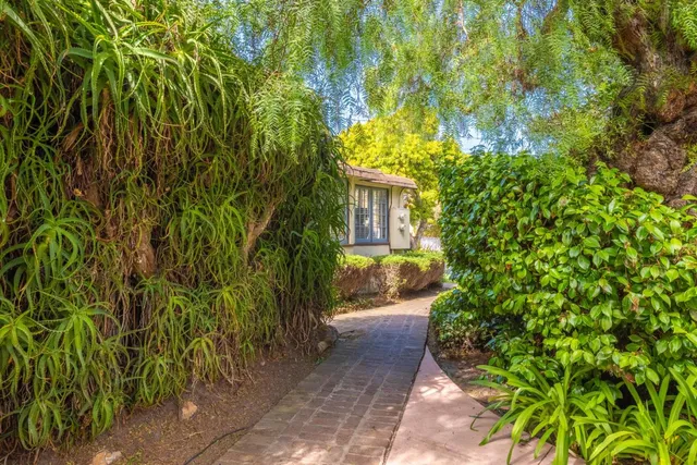 a view of a pathway with a plants