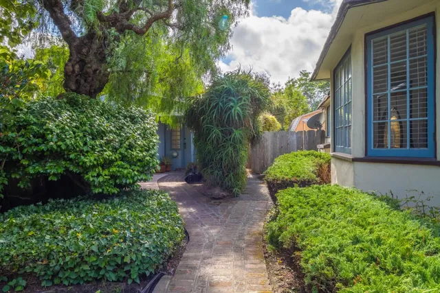a view of a garden with pathway