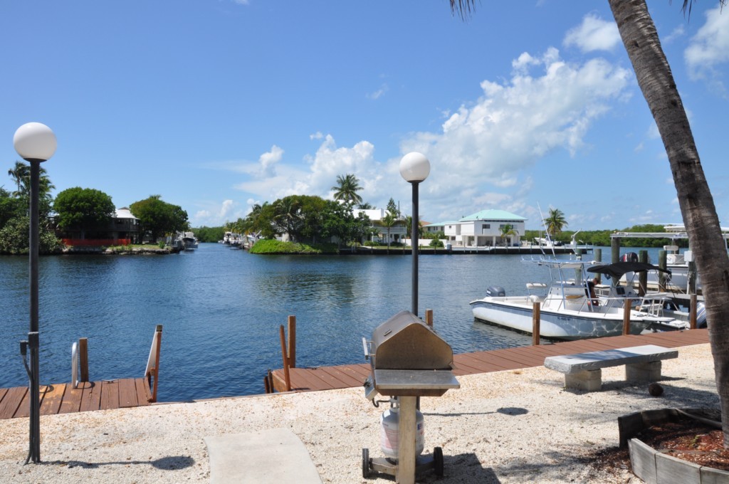 View From Dock