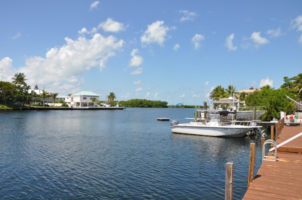 Another View From Dock