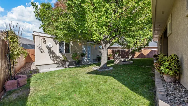 a view of a house with a yard and a tree