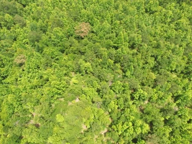 $297,000 | 12 Northwest County Road 12, Bristol, FL 32321