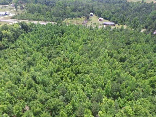 $297,000 | 12 Northwest County Road 12, Bristol, FL 32321