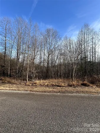 a view of a field with trees in the background