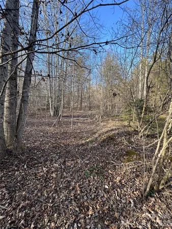 a view of a outdoor space