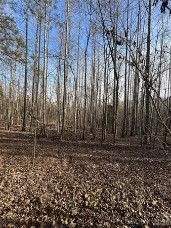 a view of a backyard of the house