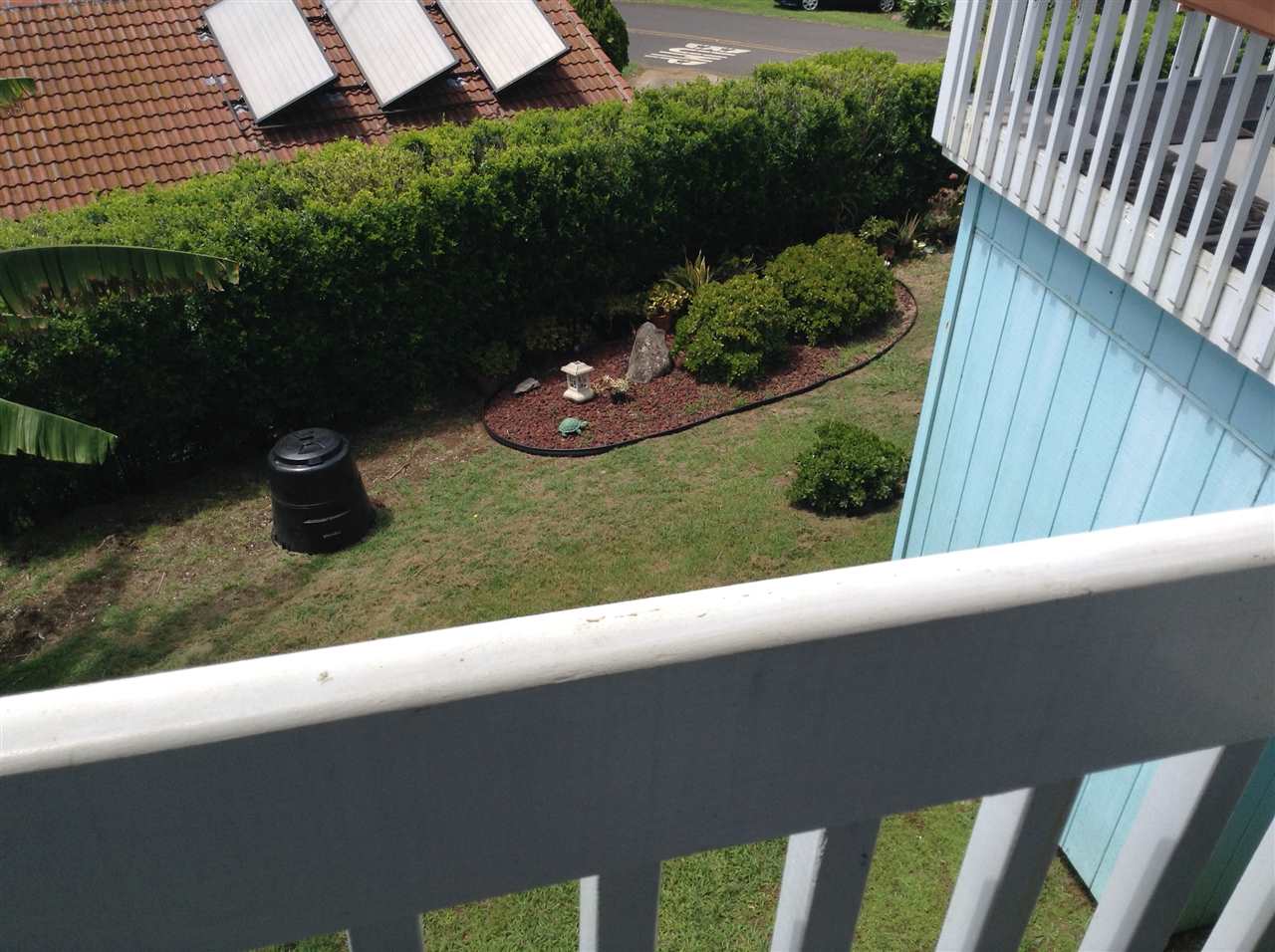 320 Ainakula Road Kula, HI 96790 - Photo 7 of 23 a view of a backyard with plants