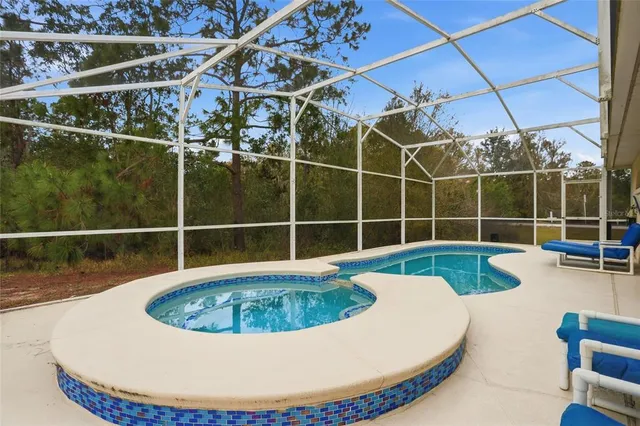 a view of a swimming pool with a couches chairs and potted plants
