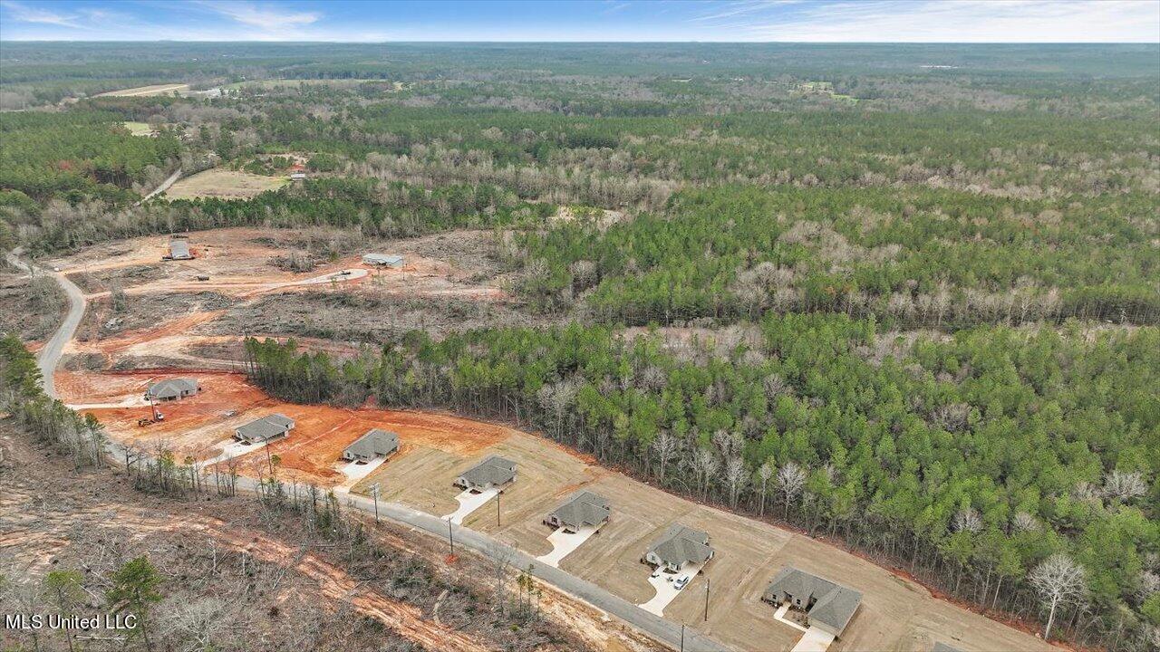 291 Anse Reed Road Magee, MS 39111 - Photo 42 of 57 42-291 Anse Reed Rd