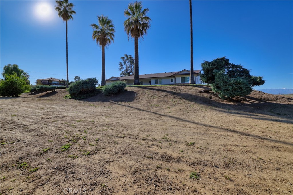 12646 10th Street Yucaipa, CA 92399 - Photo 66 of 72 a view of a palm tree with a yard