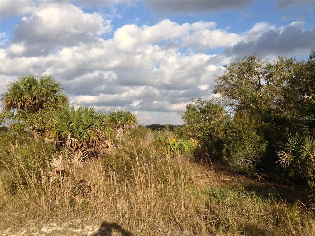 50670 Bermont Road Punta Gorda, FL 33982 - Photo 15 of 23 a view of a yard