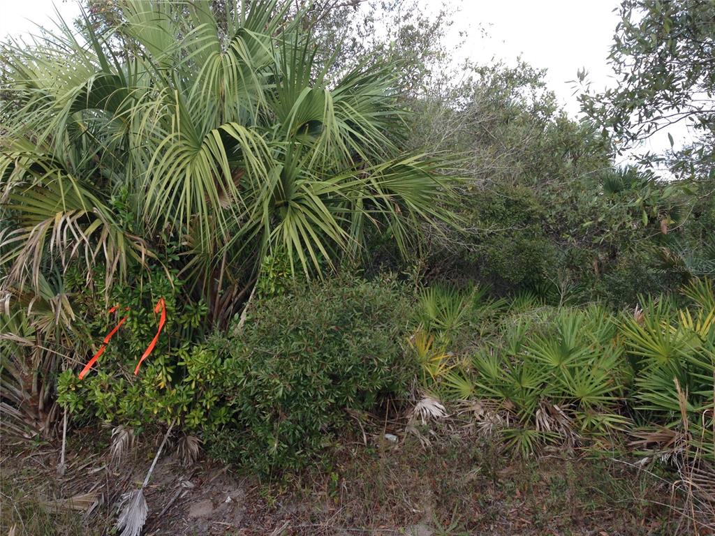 50670 Bermont Road Punta Gorda, FL 33982 - Photo 16 of 23
