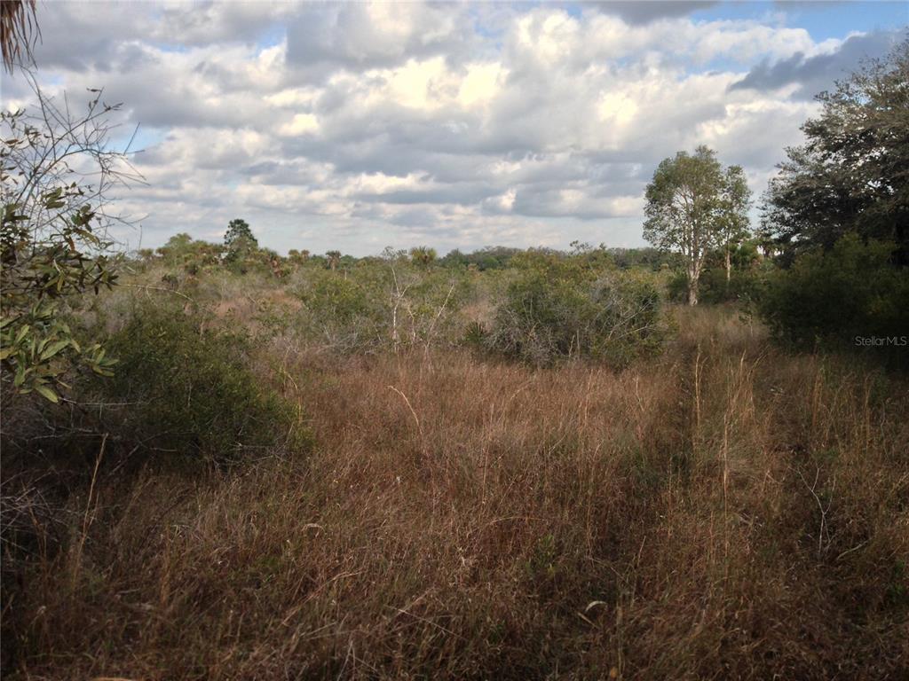 50670 Bermont Road Punta Gorda, FL 33982 - Photo 17 of 23 a view of a lake in between two of trees