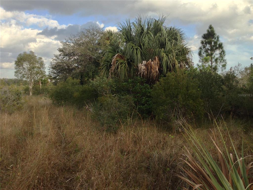50670 Bermont Road Punta Gorda, FL 33982 - Photo 18 of 23 a view of a lake from a yard
