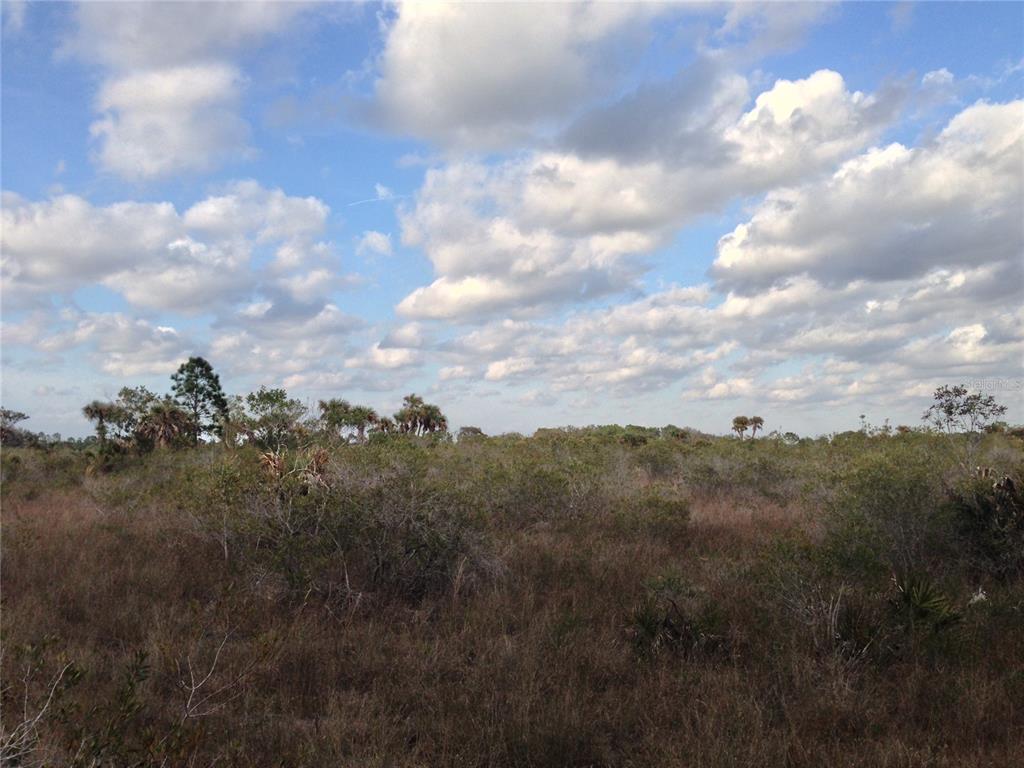 50670 Bermont Road Punta Gorda, FL 33982 - Photo 21 of 23 a view of a lot of trees
