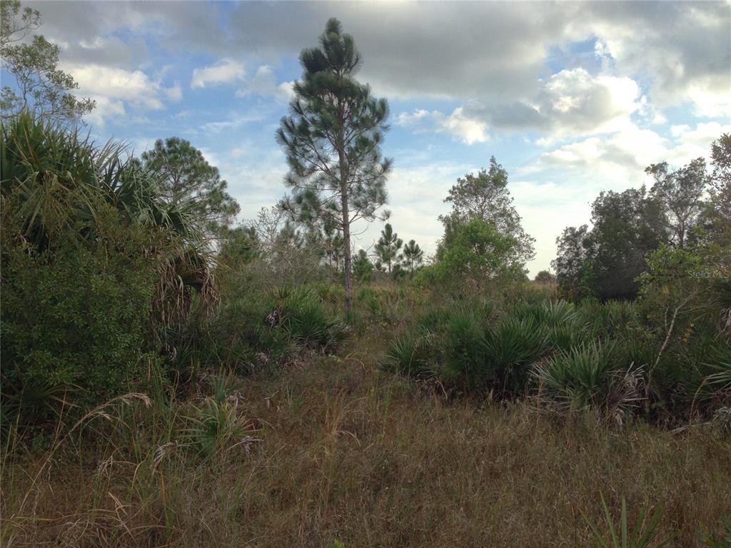 50670 Bermont Road Punta Gorda, FL 33982 - Photo 22 of 23 a view of a field of grass and trees