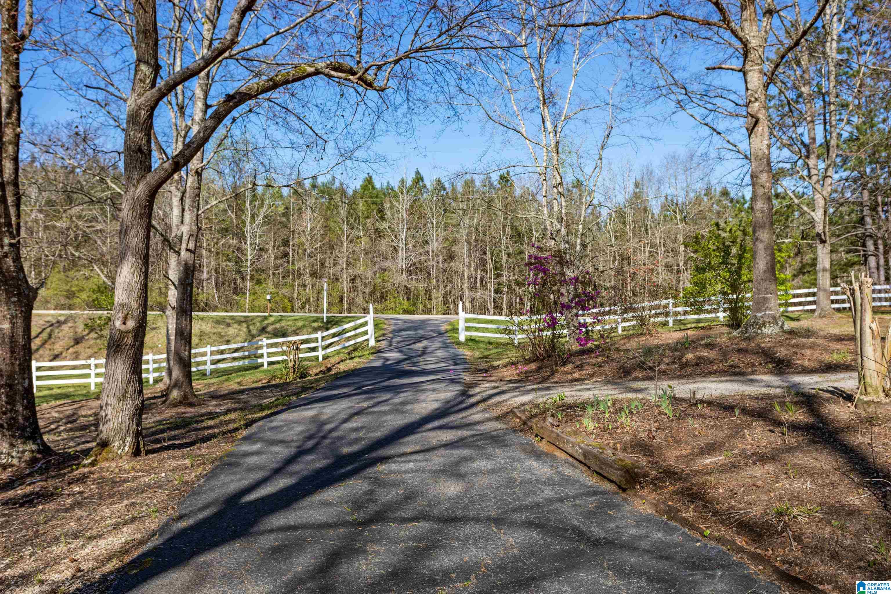 15284 Highway 139 Randolph, AL 36792 - Photo 37 of 38