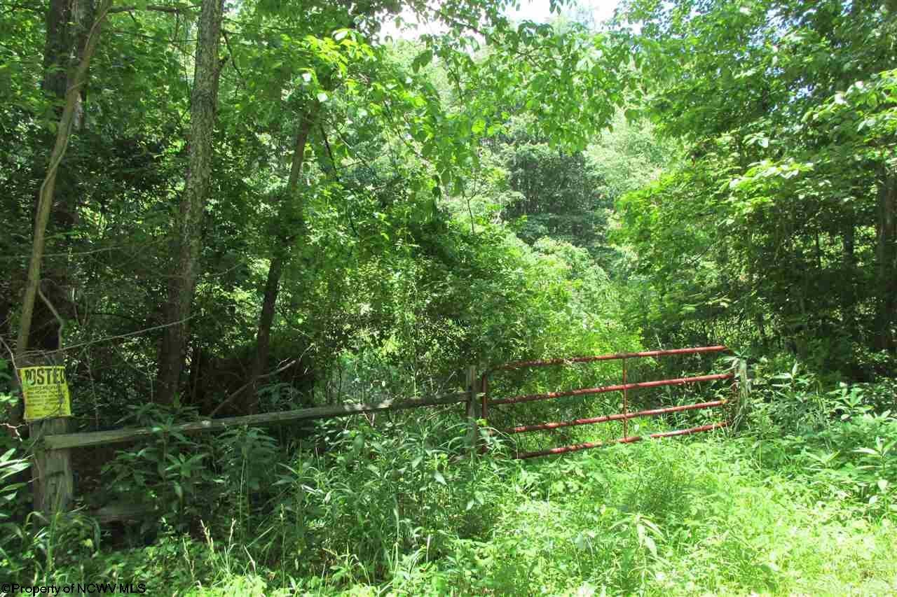 38.458-acres Hammond Road Fairmont, WV 26554 - Photo 4 of 6 Gallery Image 4