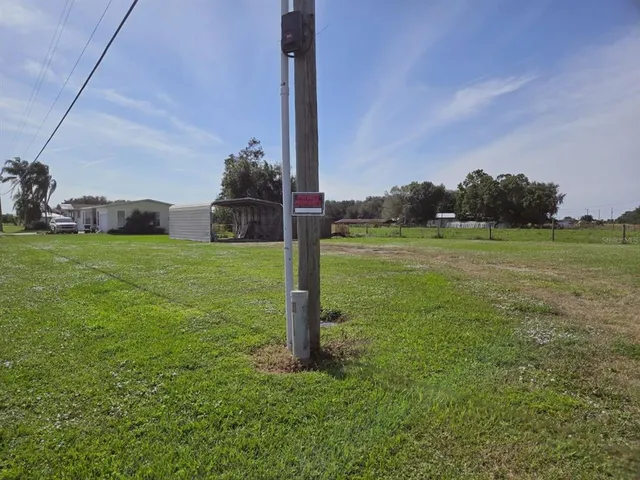 a view of a field with a tree in the background