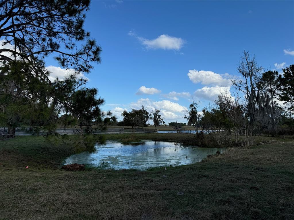 Cove Road Tavares, FL 32778 - Photo 8 of 16 a view of lake with green space