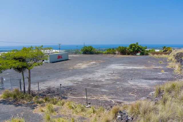 a view of a yard with plants