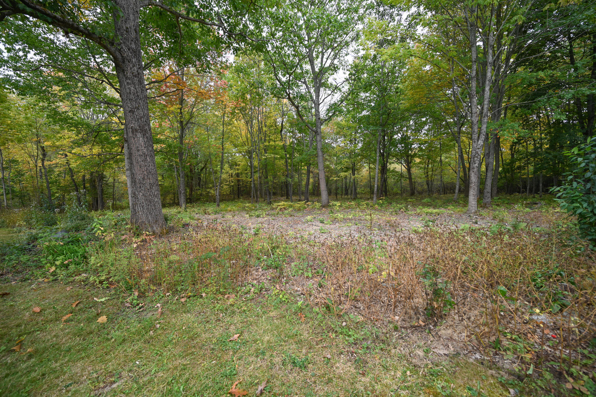 41 Stoneybrook Road Hampden, ME 04444 - Photo 30 of 34 Cleared Area