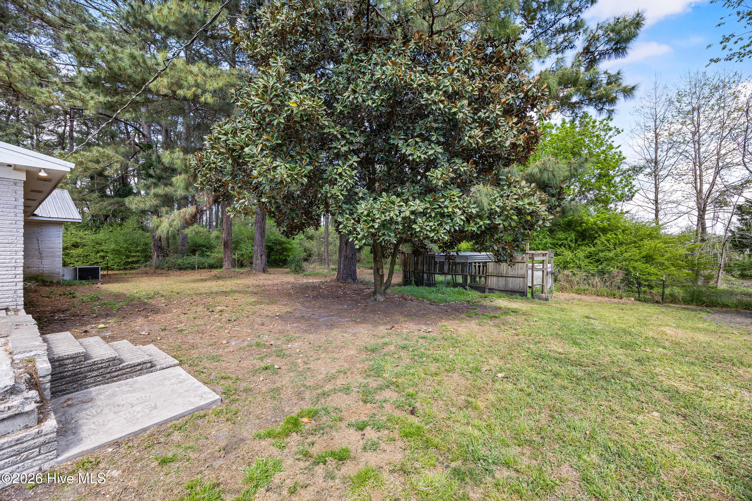 1361 Fountaintown Road Beulaville, NC 28518 - Photo 44 of 46 44_backyard