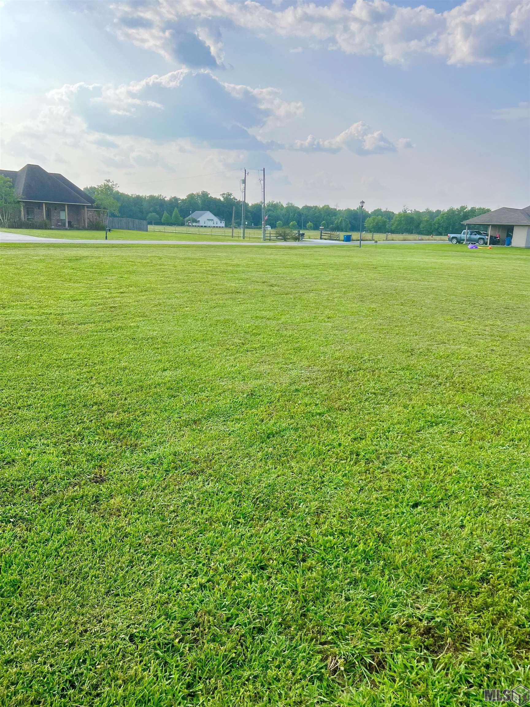 4850 Avery Grace Boulevard Addis, LA 70710 - Photo 2 of 6