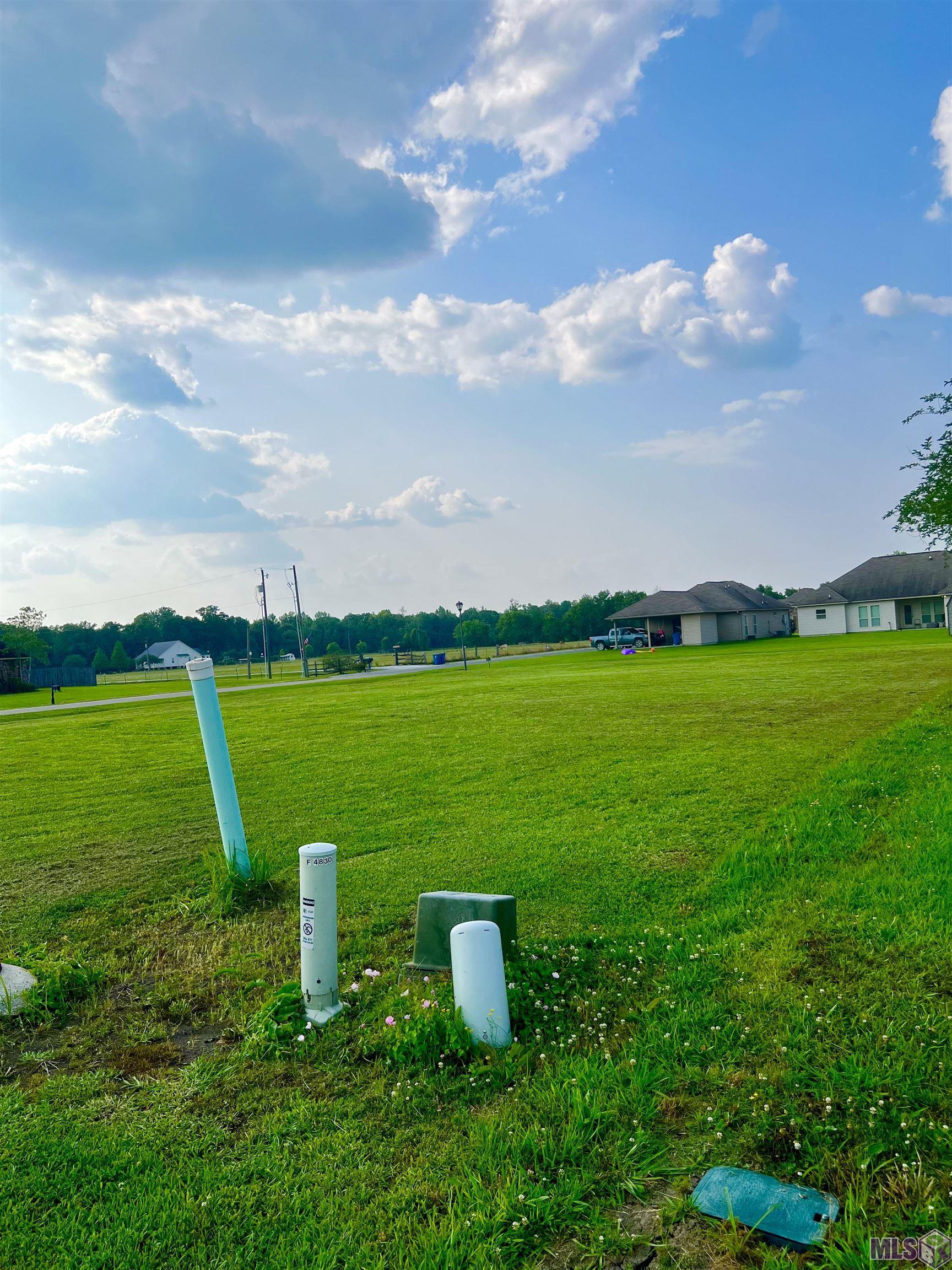 4850 Avery Grace Boulevard Addis, LA 70710 - Photo 3 of 6